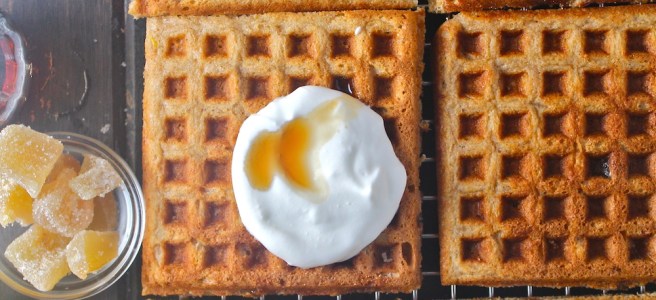 These Lemon Ginger Waffles are warm, sweet, tart, and spicy - the perfect breakfast for a cozy winter weekend at home! | The Millennial Cook #winterrecipe #waffles #breakfast #brunch #lemon #ginger