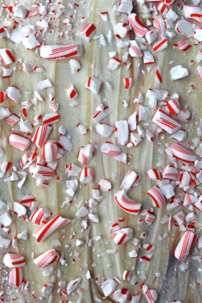 This Peppermint Bark combines semisweet and white chocolate with crushed peppermint candy for an amazing holiday treat! | The Millennial Cook #winterrecipe #christmasrecipe #chocolate #peppermint #peppermintbark #candy